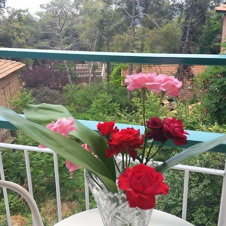 Edelweiss Hotel Платрес Экстерьер фото